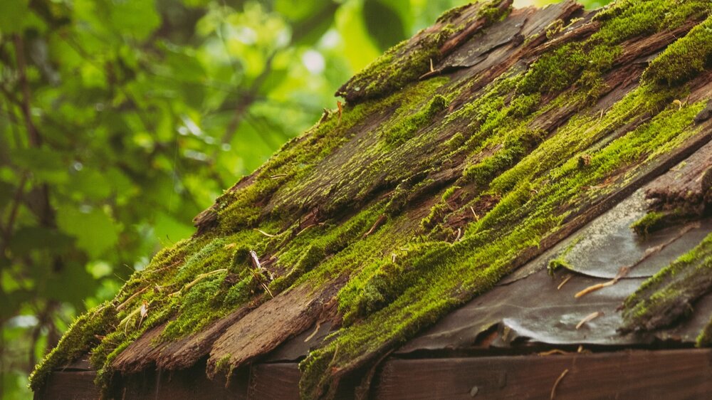 Roof Moss - Metal vs. Slate Roofing